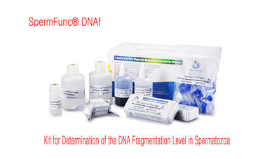 Wirtschaftliche Samenzellen DNA-Fragmentierungs-Test-Kit For DNA-Fragmentierungs-Niveau-Bestimmung--Samenzellen Chromatin-Streuungsmethode