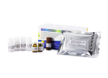 Anti-Mullerian-Hormon Elisa Kit For Female Fertility Diagnosis