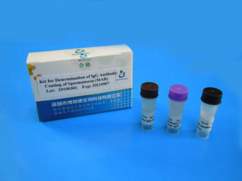 Ergiebigkeits-Test-Ausrüstung SpermFunc männliche für Bestimmung IgG-Antikörper-Beschichtungs-Spermien