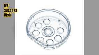 Zeitraffer-Schüssel für den IVF-Erfolg