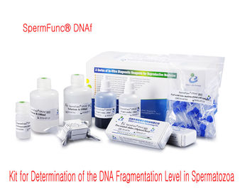 Die Berufssamenzellen DNA-Fragmentierungs-Test-Ausrüstung 40T/Kit BRED-002 einfach funktionieren