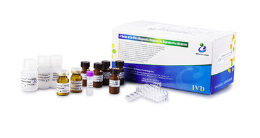 Samenplasma-NAG-Kit zur Bewertung der männlichen Nebenhoden-Sekretionsfunktion