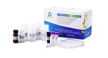 Enzymatisches Zitronensäure-Kit zur Bestimmung des Zitronensäurespiegels im Samenplasma