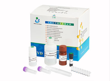 Acrosin Kit Male Infertility Test, Spermcheck-Ergiebigkeit Kit For Men