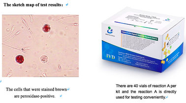 Samen-Leukozyten-Testkit Peroxidase-Färbung 40T/Kit Spermienfunktions-Testkit