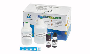 Serum-Probe Anti-Mullerian-Hormon-Test-Ausrüstung AMH CLIA Kit For Adult Females