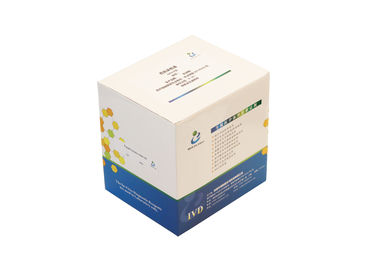 Spermienmorphologie Papanicolaou Stain Kit 500 ml/Kit zur Diagnose der männlichen Unfruchtbarkeit