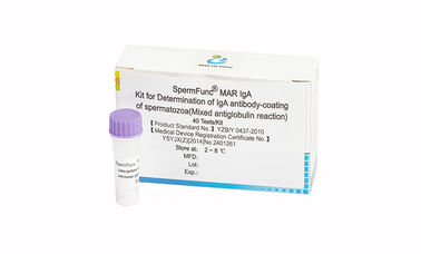 40T/Kit Male Diagnostic Kit zur Bestimmung der IgA-Antikörperbeschichtung von Spermien
