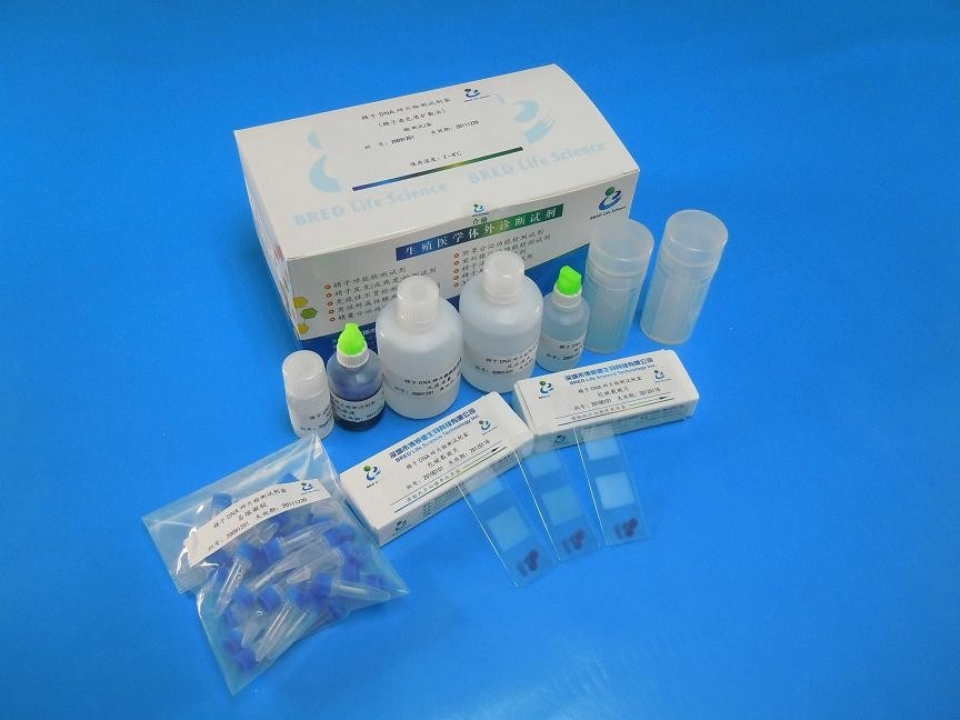 Wright Stain Spermien-DNA-Fragmentierungstest Validiertes Reagenzien-Kit 40 Tests/Kit