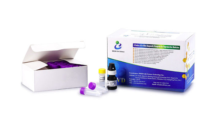 Einfach zu bedienendes Fertilitäts-Testkit für Männer Samen-Leukozyten-Testkit Peroxidase-Färbung