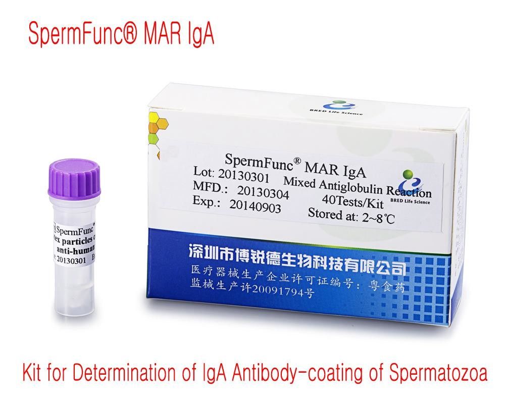 40T/Kit Male Diagnostic Kit zur Bestimmung der IgA-Antikörperbeschichtung von Spermien