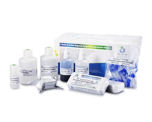 40 Tests / Kit SCD-Methode Spermien-DNA-Fragmentierungstestkit Wright Staining Dye