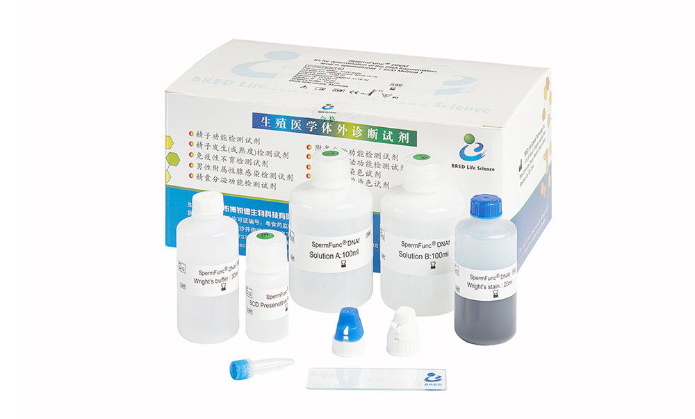 Wirtschaftliche Samenzellen DNA-Fragmentierungs-Test-Kit For DNA-Fragmentierungs-Niveau-Bestimmung--Samenzellen Chromatin-Streuungsmethode