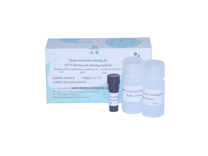 Spermien-Durchflusszytometrie-Kits PNA-FITC-Sonden-Zytometrie-Kit zur Spermien-Akrosomen-Färbung