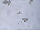 MAR IgA Test Kit IgA Antibody Coating Spermatozoa MAR Sperm Function Test Kit